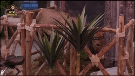 Bigg Boss - Season 18 - 8th October 2024